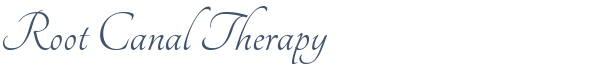 Dentist Laurel Root Canal Therapy